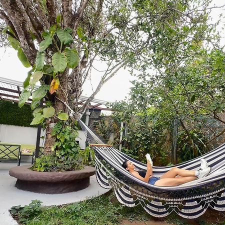 מונטה ורדה Montefresco Boutique Hostel מראה חיצוני תמונה